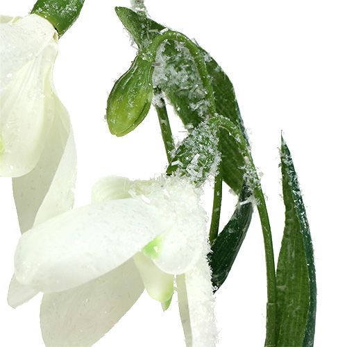 Floristik24 Campanilla de las nieves L48cm cubierto de nieve
