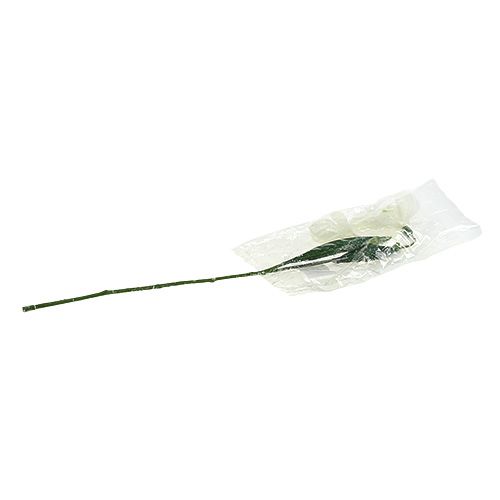 Floristik24 Campanilla de las nieves L48cm cubierto de nieve