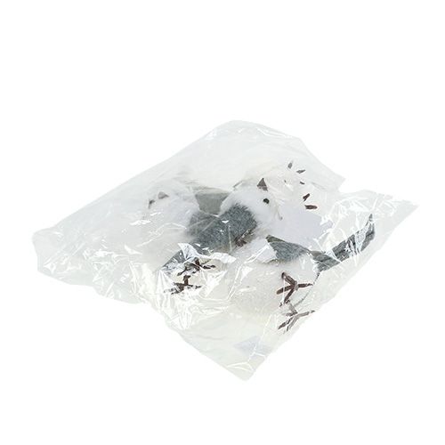Floristik24 Pájaro de nieve con gorro 18cm blanco, gris 3uds