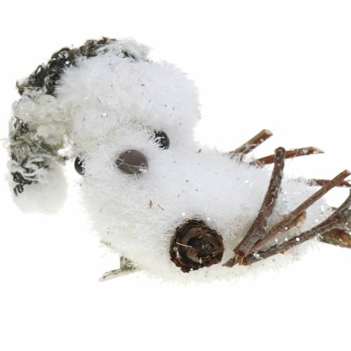Floristik24 Pájaro de nieve en clip 8cm x 6,5cm 6 uds.