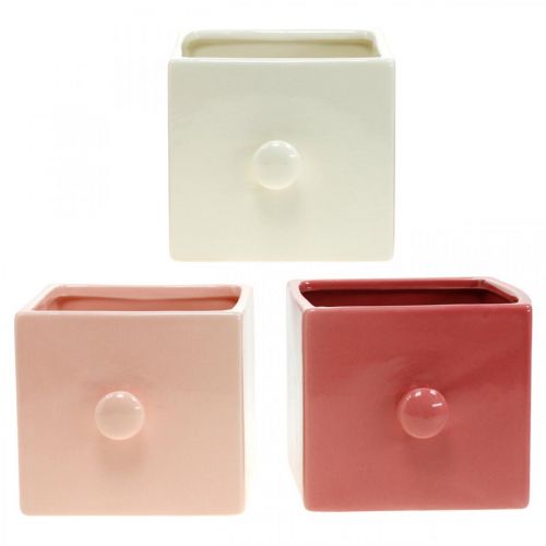 Floristik24 Cajón para plantar, decoración cerámica, cajón decorativo, jardinera 3 piezas