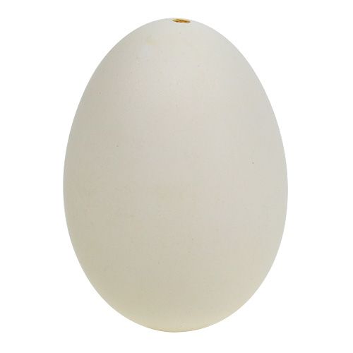 Floristik24 Huevos de cisne 9cm blanco crema 6uds