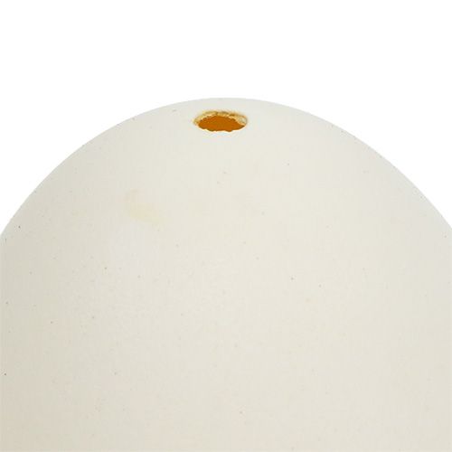 Floristik24 Huevos de cisne 9cm blanco crema 6uds