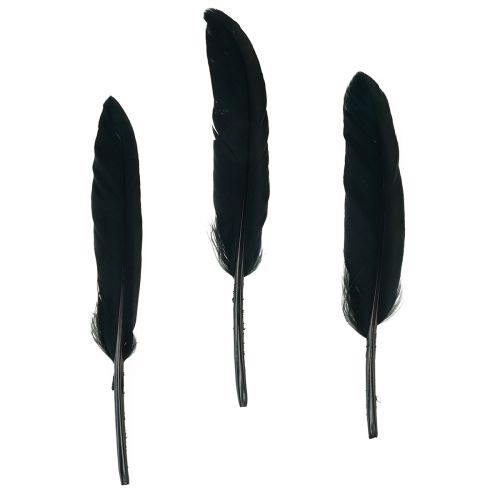 Plumas Negras Plumas de Ganso Decorativas Negras 11-14cm 180uds