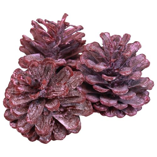 Artículo Piñas de pino negro decoración natural roja esmerilada 5–7cm 1kg