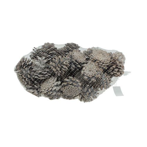 Artículo Piñas de pino negro 5-9cm Blanqueadas 1kg