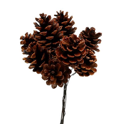 Piñas de pino negro enceradas con alambre 200uds