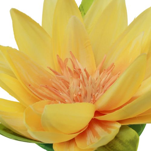 Artículo Nenúfar flotante artificial decoración de verano amarillo Ø15cm 2 piezas