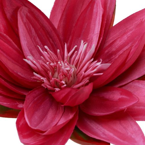 Artículo Nenúfar flotante artificial para mesa, decoración fucsia, Ø15cm, 2 unidades