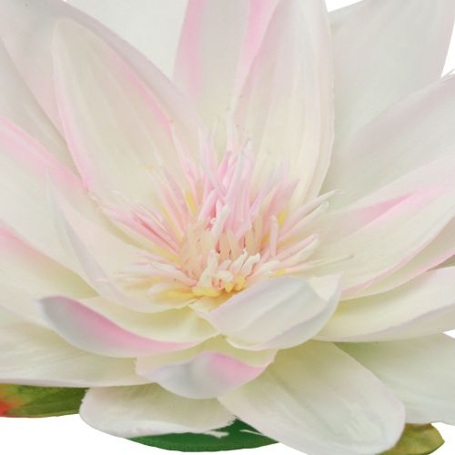 Artículo Nenúfares flotantes artificiales decoración de mesa blanco, rosa Ø15cm 2uds