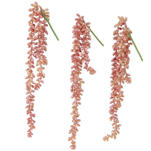 Artículo Sedum 'Rubin' planta colgante – suculenta decorativa, de fácil cuidado 43cm 3 uds.