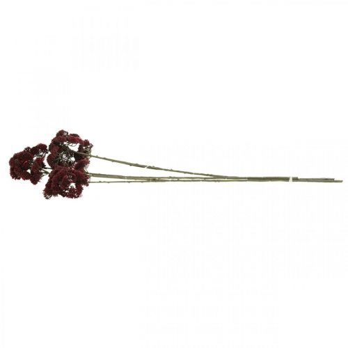Floristik24 Sedum rojo artificial stonecrop otoño decoración 70cm 3pcs