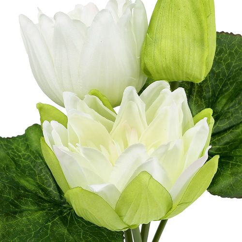 Floristik24 Lirios de agua artificial blanco 35cm