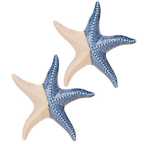 Artículo Estrella de mar Porcelana Azul Arena Decoración de Mesa Marítima Ø15cm 2uds
