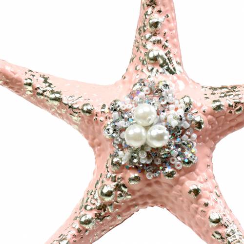 Floristik24 Deco percha estrella de mar 12cm 3pcs