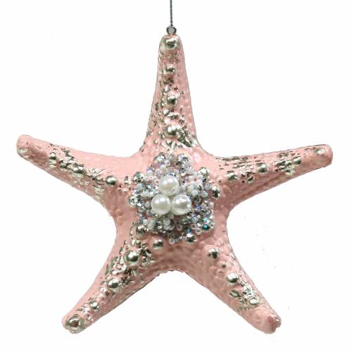 Floristik24 Deco percha estrella de mar 12cm 3pcs