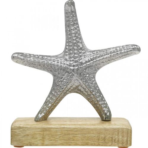 Floristik24 Estrella de mar de metal, decoración marítima, escultura decorativa plata, colores naturales Al. 18 cm