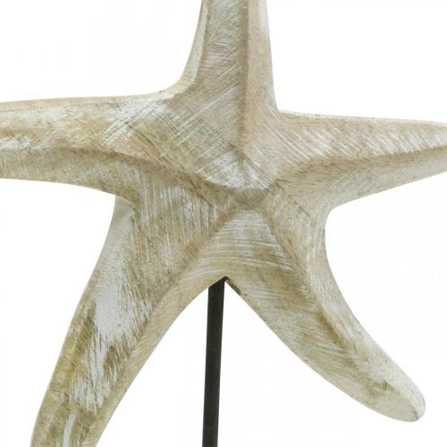 Floristik24 Estrella de mar para colocar, decoración madera marinera color natural, blanco H23.5cm