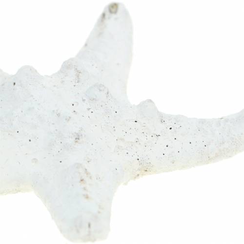 Artículo Perillas estrella de mar blanco 30pcs