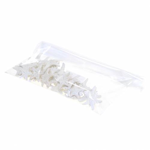 Artículo Perillas estrella de mar blanco 30pcs