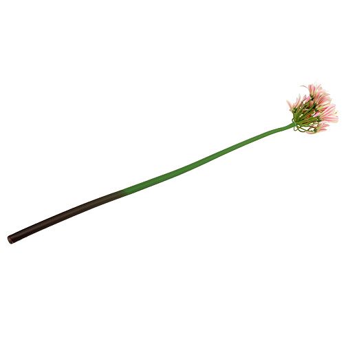 Floristik24 Flor de seda agapanto rosa 80cm