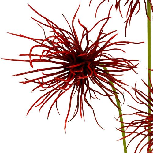 Floristik24 Flores de seda Xanthium Burdeos 64cm 4pcs