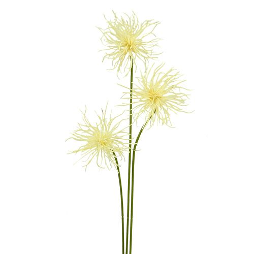 Floristik24 Flores de seda Xanthium crema 63cm 4pcs