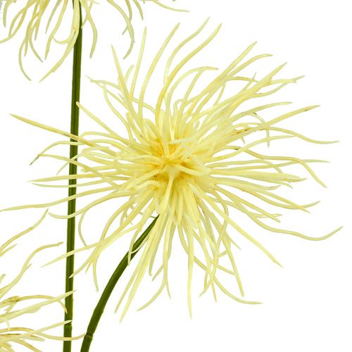 Artículo Flores de seda Xanthium crema 63cm 4pcs
