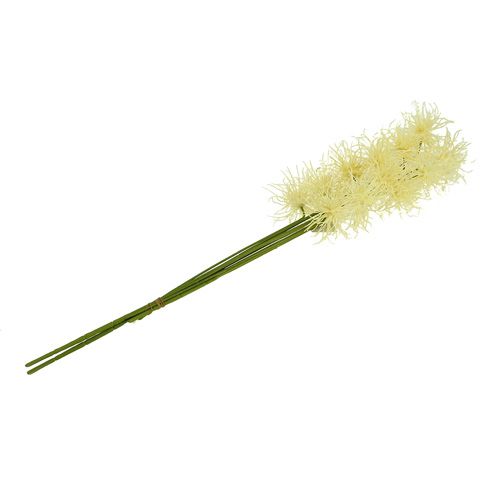 Floristik24 Flores de seda Xanthium crema 63cm 4pcs