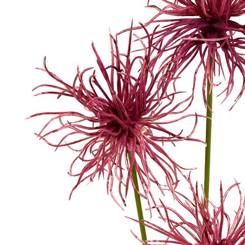 Floristik24 Flores de seda Xanthium erika 63cm 4pcs