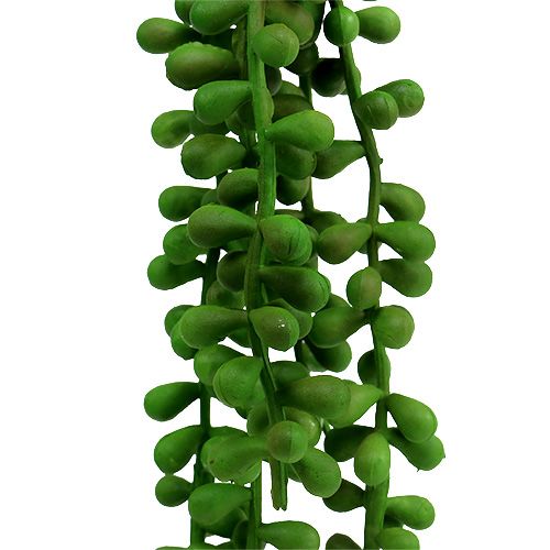 Floristik24 Percha Senecio 36cm verde
