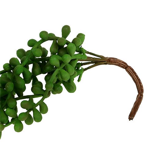 Floristik24 Percha Senecio 36cm verde