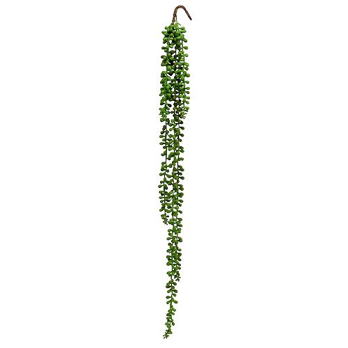 Floristik24 Percha Senecio 75cm verde