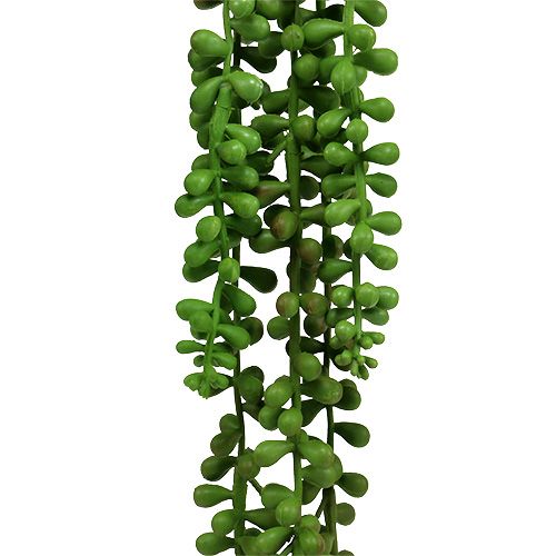 Floristik24 Percha Senecio 75cm verde
