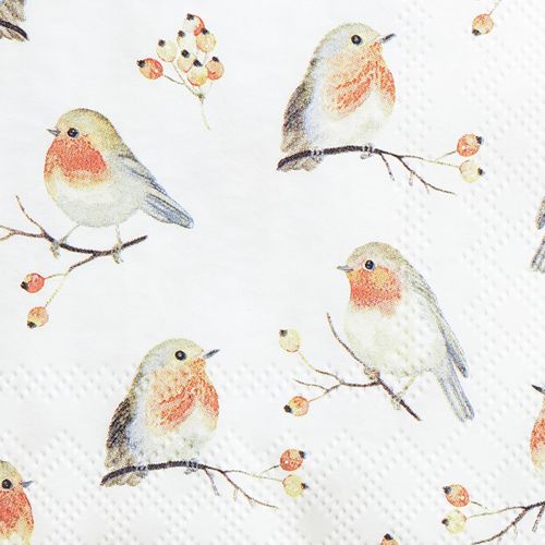 Floristik24 Servilletas Autumn Robin Rose Hips 25x25cm 20uds