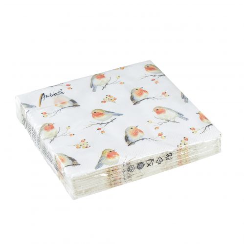 Floristik24 Servilletas Autumn Robin Rose Hips 25x25cm 20uds