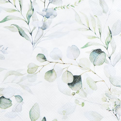 Floristik24 Servilletas motivo eucalipto blanco verde 33x33cm 20 piezas