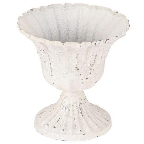 Floristik24 Taza decorativa Shabby Chic de metal color blanco Ø12cm H12cm