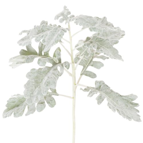 Rama artificial de Senecio, hoja plateada, elaborada con gran detalle, 45 cm, 3 piezas. comprar | Floristik24.es