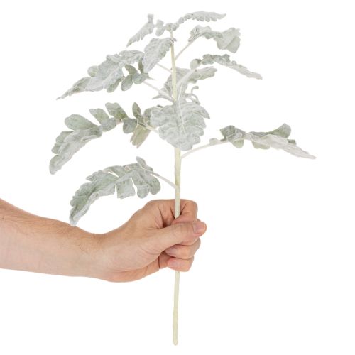 Rama artificial de Senecio, hoja plateada, elaborada con gran detalle, 45 cm, 3 piezas. | Floristik24.es