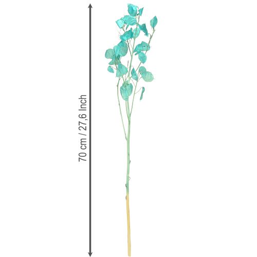 Artículo Hoja de plata seca Lunaria azul claro 65-70cm 20g