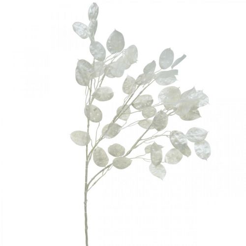 Floristik24 Rama decorativa hoja plata rama Lunaria blanca rama artificial 70cm