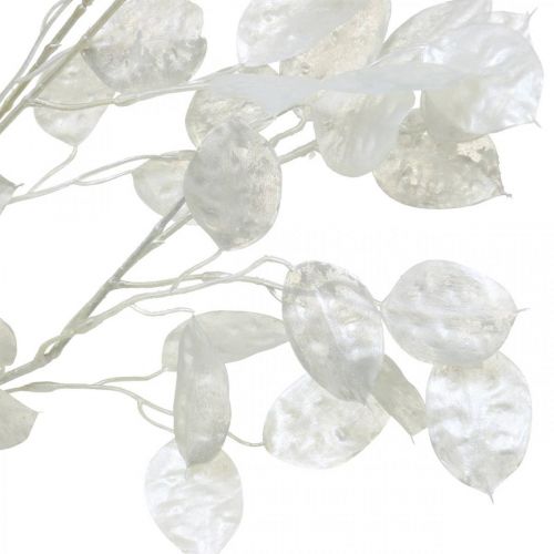 Floristik24 Rama decorativa hoja plata rama Lunaria blanca rama artificial 70cm