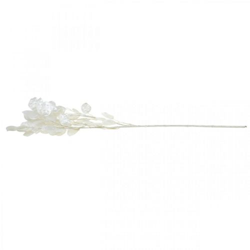 Floristik24 Rama decorativa hoja plata rama Lunaria blanca rama artificial 70cm