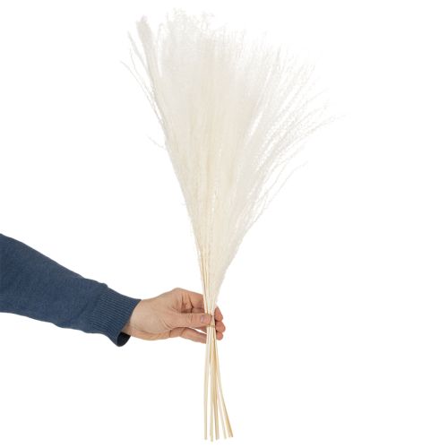 Artículo Flores secas, hierba plateada. Elegante decoración natural para el hogar y la oficina. 70 cm, 10 unidades.