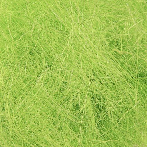 Floristik24 Hierba decorativa sisal verde primavera 300g