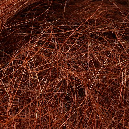 Floristik24 Cobre sisal 250g