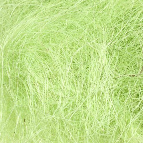 Floristik24 Sisal Mayo Fibra Natural Decorativa Fibra de Sisal Verde 300g