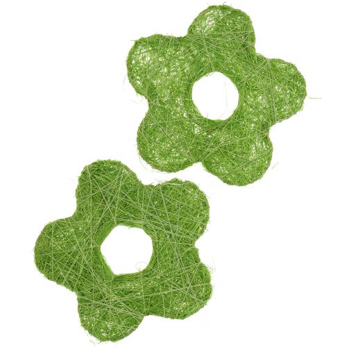 Floristik24 Sisalflower verde Ø7,5cm 25pcs