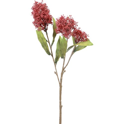 Floristik24 Skimmie Skimmia Japonica Flores Artificiales Borgoña DryLook L59cm